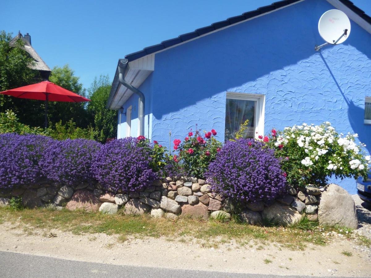 Lancken Haus Lavendel 빌라 외부 사진